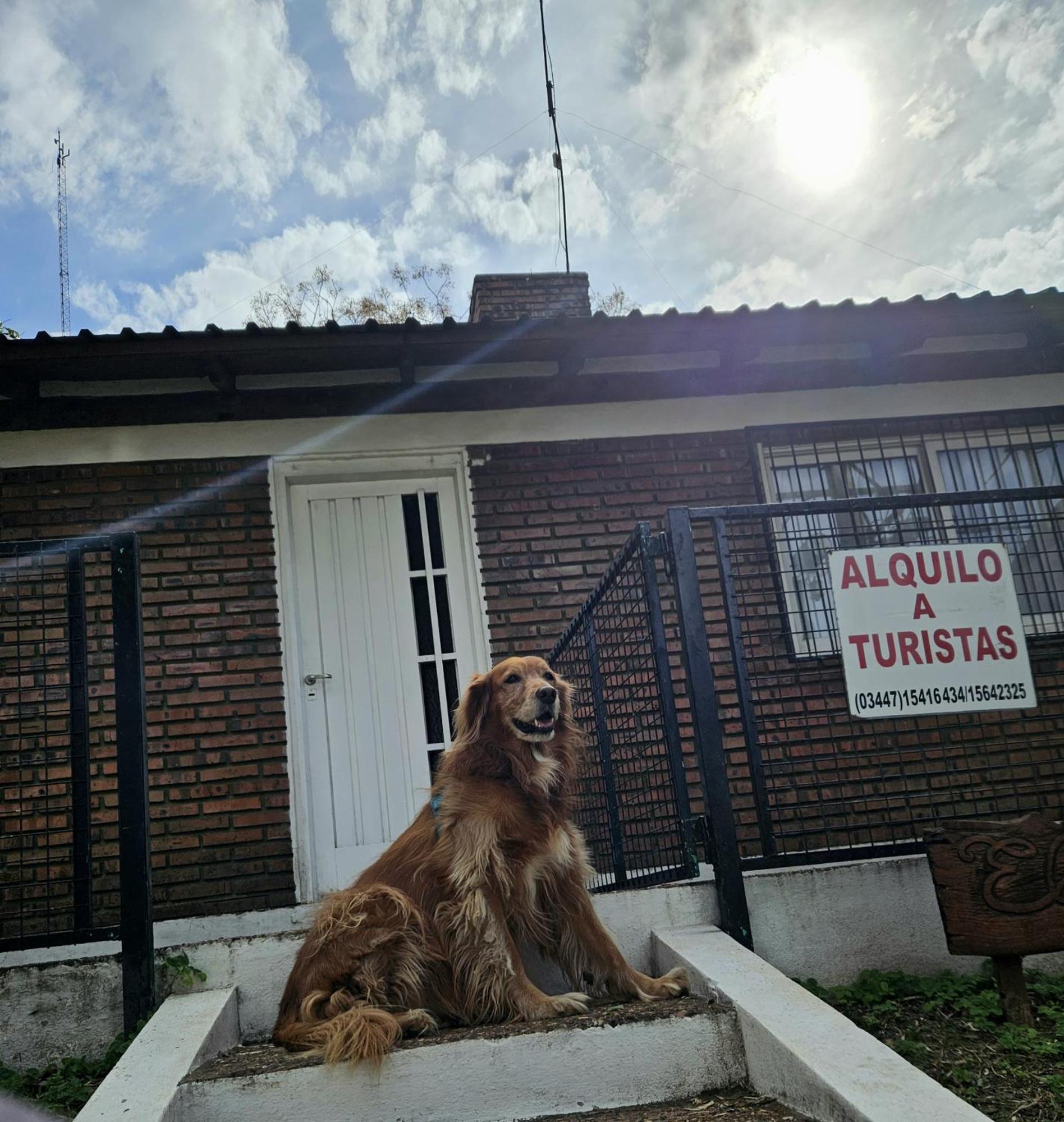 El Nene - Balneario Termas Holiday home San Jose (Entre Rios)