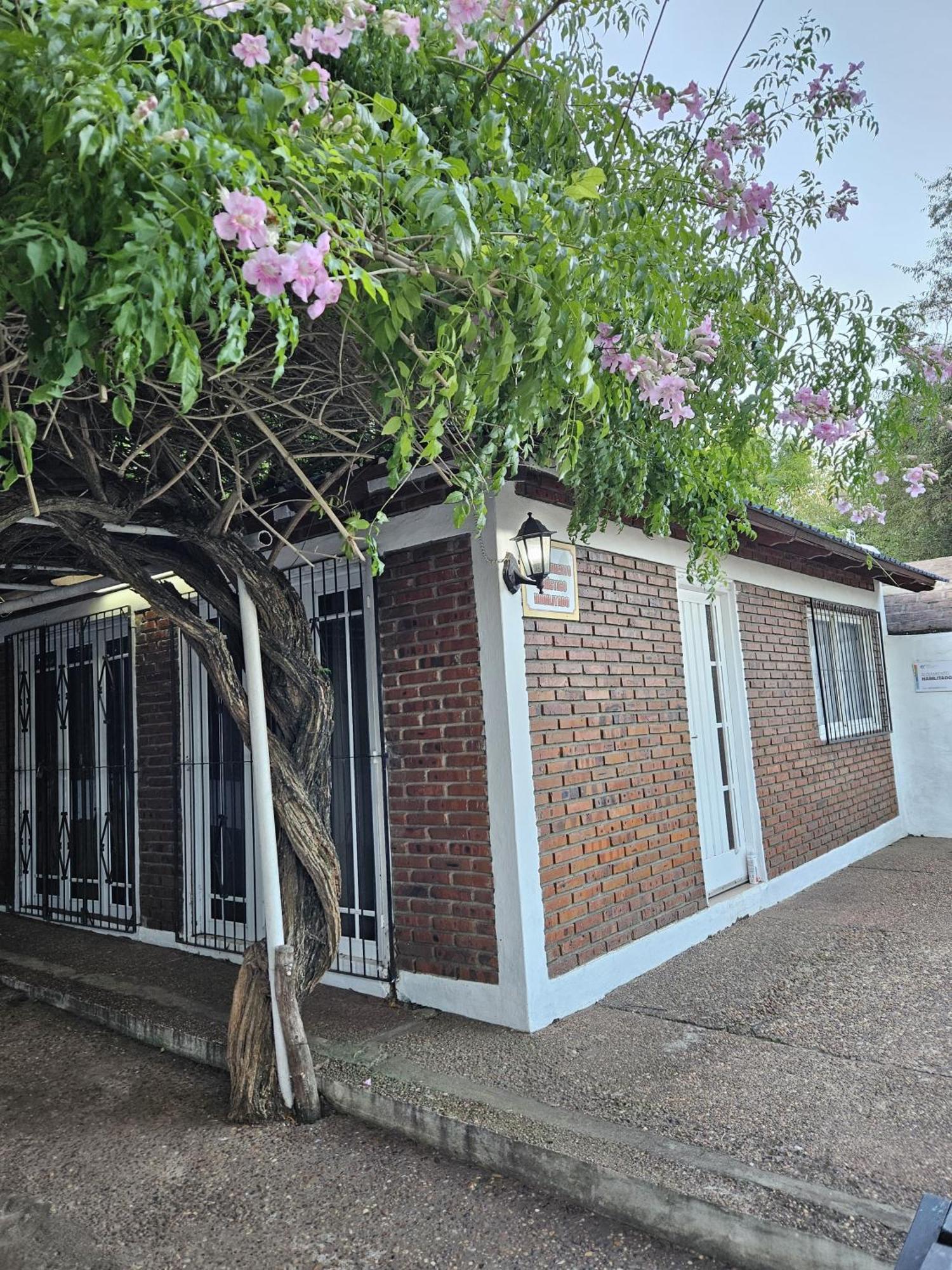 El Nene - Balneario Termas